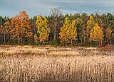 Autumn Landscape_17947